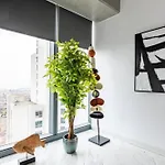 Gorgeous 3bd2bath Bright Airy Penthouse! #355 *